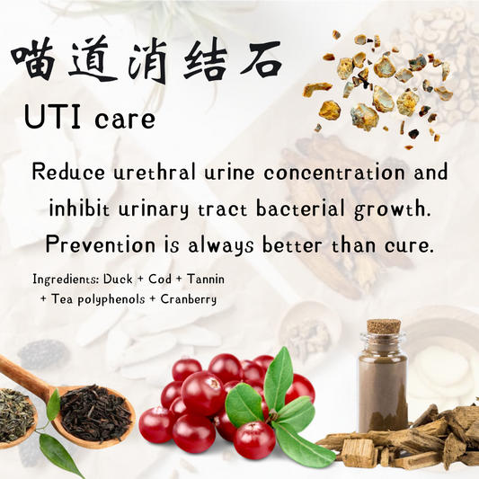 No.1 UTI